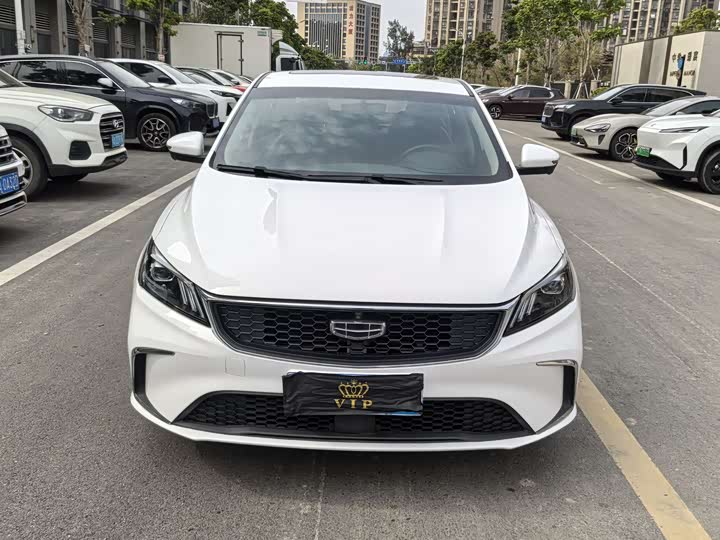 Фото 2 - Geely Binrui