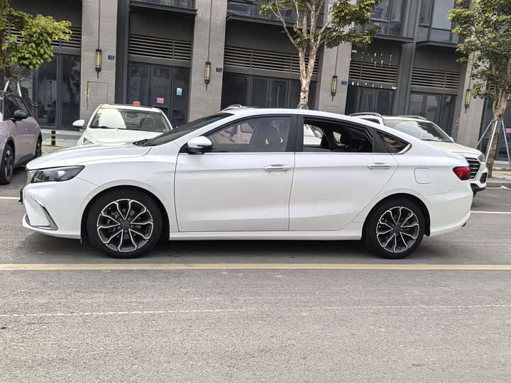 Фото 4 - Geely Binrui