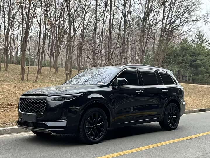 Фото 1 - LiXiang One