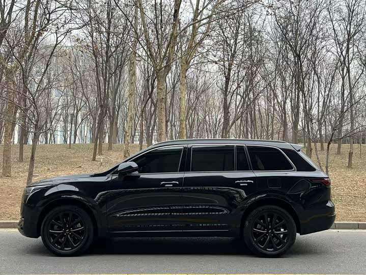 Фото 3 - LiXiang One