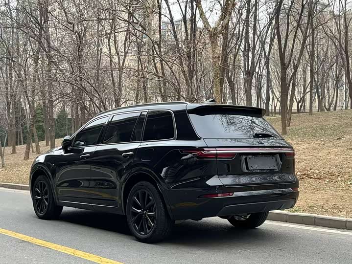 Фото 4 - LiXiang One