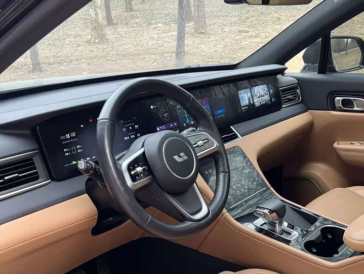 Фото 6 - LiXiang One