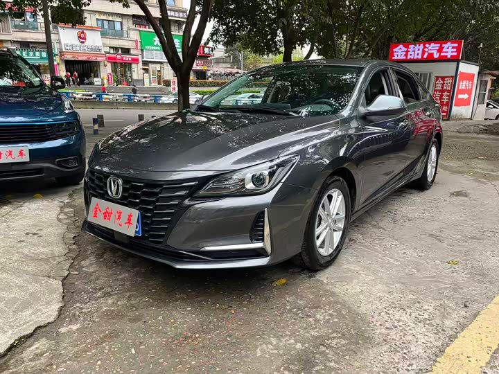 Фото 1 - Changan Raeton CC