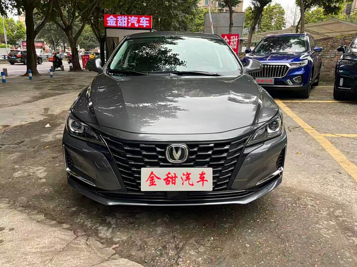 Фото 2 - Changan Raeton CC