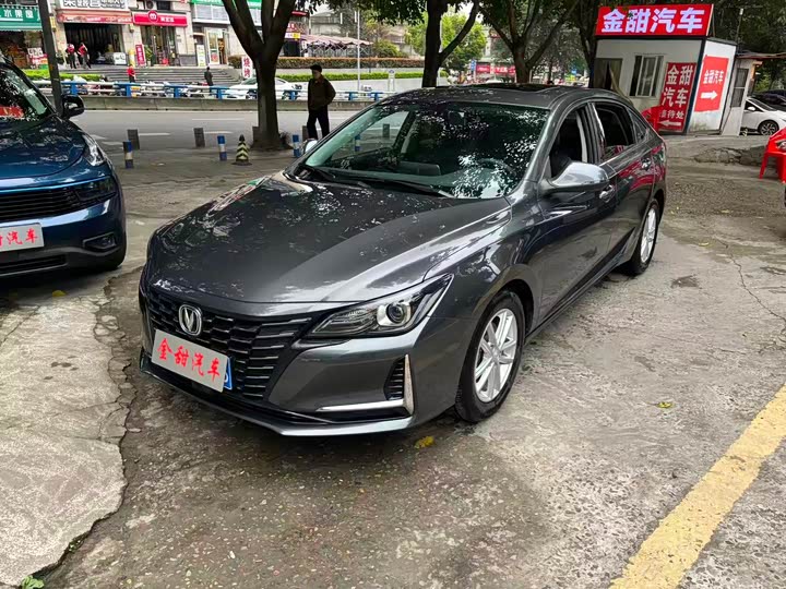 Фото 3 - Changan Raeton CC