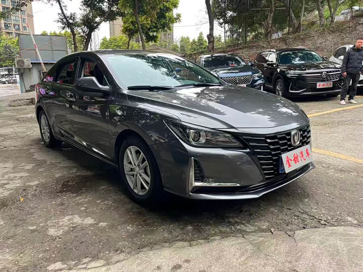 Фото 7 - Changan Raeton CC