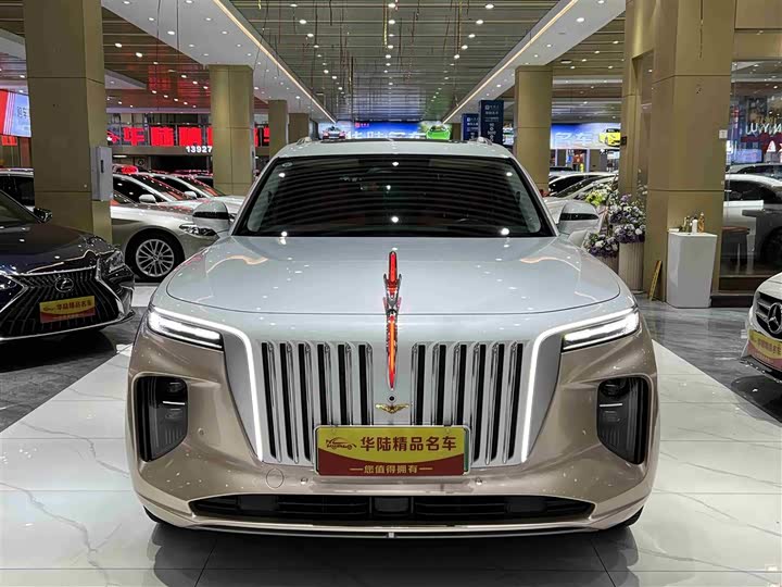 Фото 2 - Hongqi E-HS9