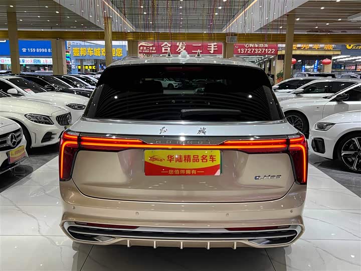 Фото 3 - Hongqi E-HS9