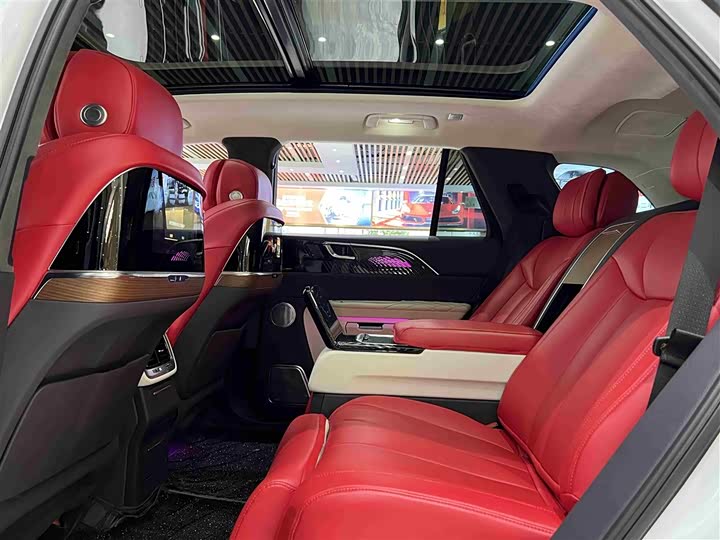 Фото 8 - Hongqi E-HS9