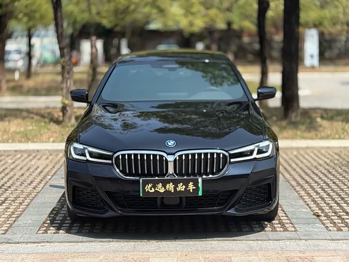 Фото 2 - BMW 5 Series Hybrid