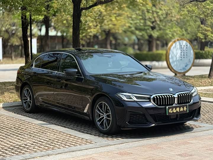 Фото 3 - BMW 5 Series Hybrid