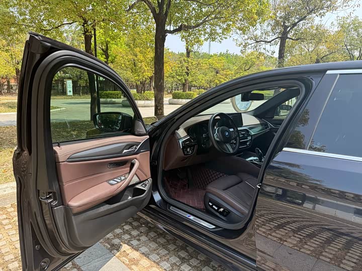 Фото 8 - BMW 5 Series Hybrid