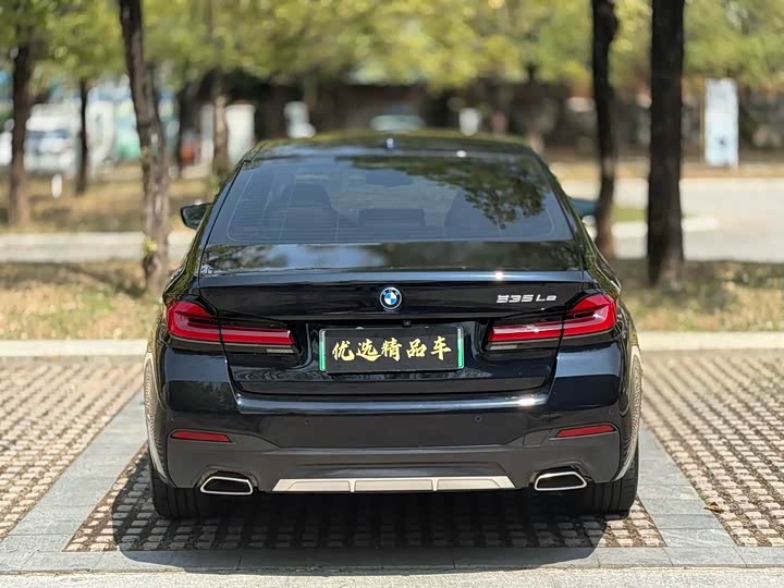 Фото 9 - BMW 5 Series Hybrid