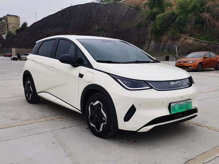Фото 3 - BYD Dolphin