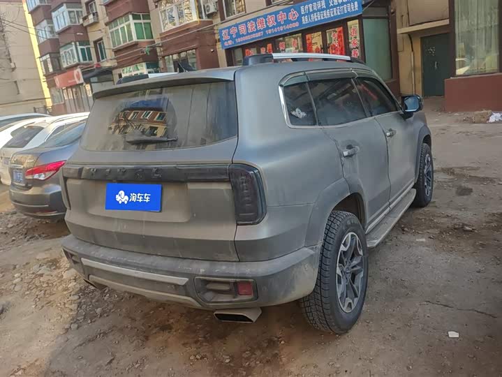 Фото 3 - Haval Dargo