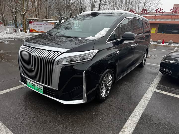 Фото 2 - Wey Gaoshan