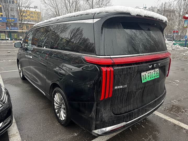 Фото 3 - Wey Gaoshan