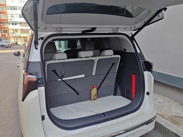 Фото 4 - Buick GL8 ES