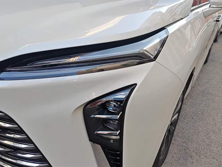 Фото 5 - Buick GL8 ES