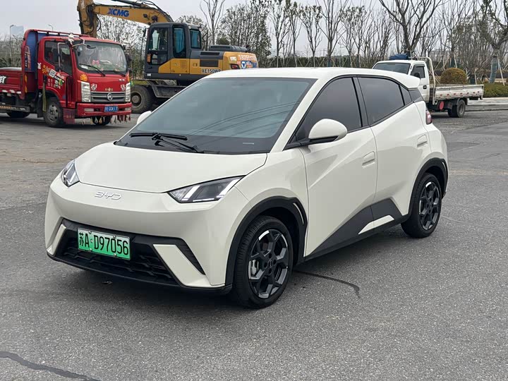 Фото 1 - BYD Seagull