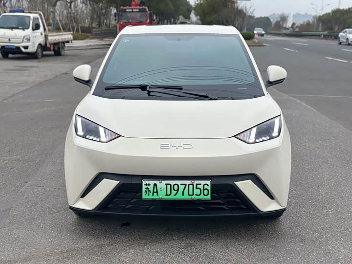 Фото 2 - BYD Seagull