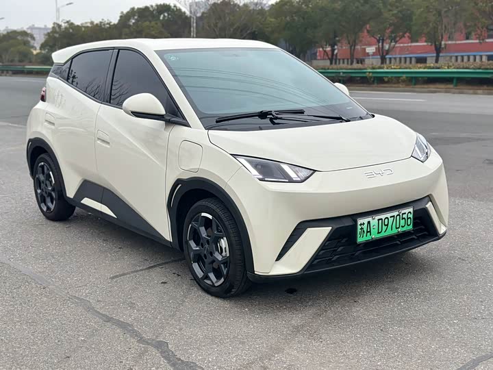 Фото 3 - BYD Seagull