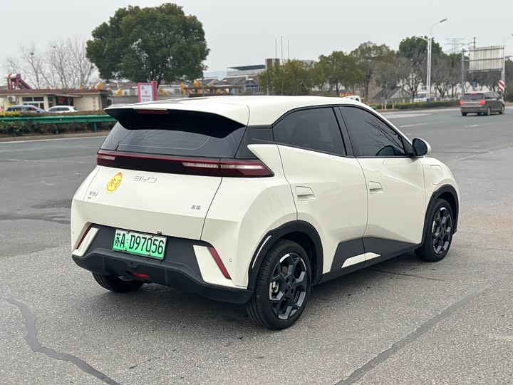 Фото 9 - BYD Seagull