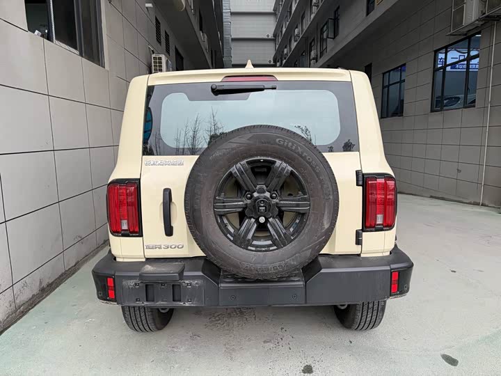 Фото 5 - Tank 300