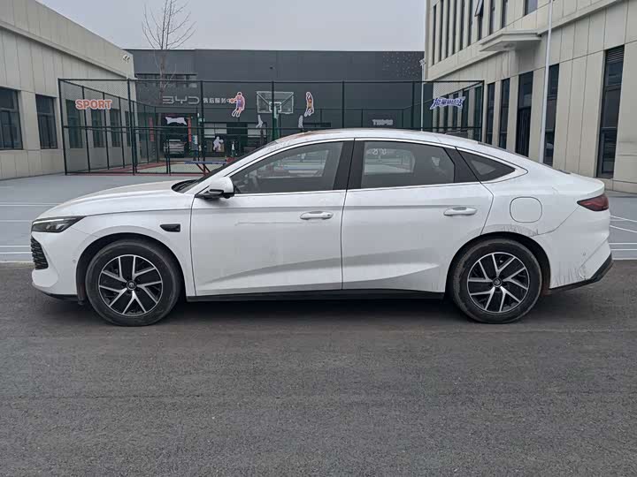 Фото 3 - BYD Qin L