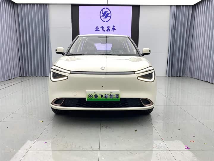 Фото 2 - Dongfeng Yipai 01