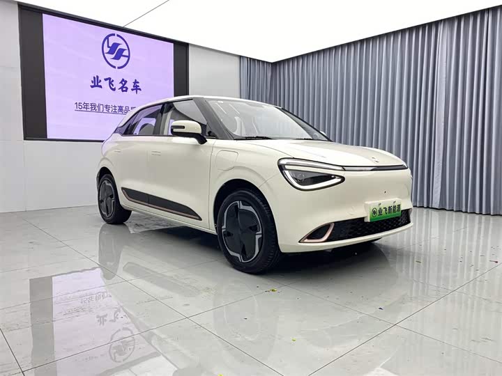 Фото 3 - Dongfeng Yipai 01