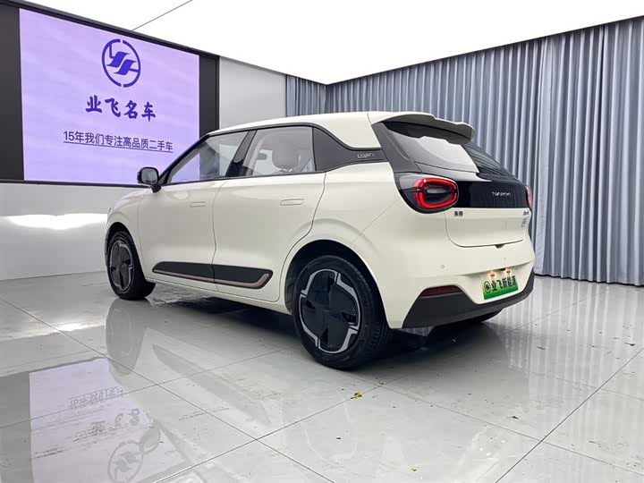 Фото 6 - Dongfeng Yipai 01