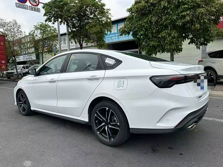 Фото 6 - Geely Binrui