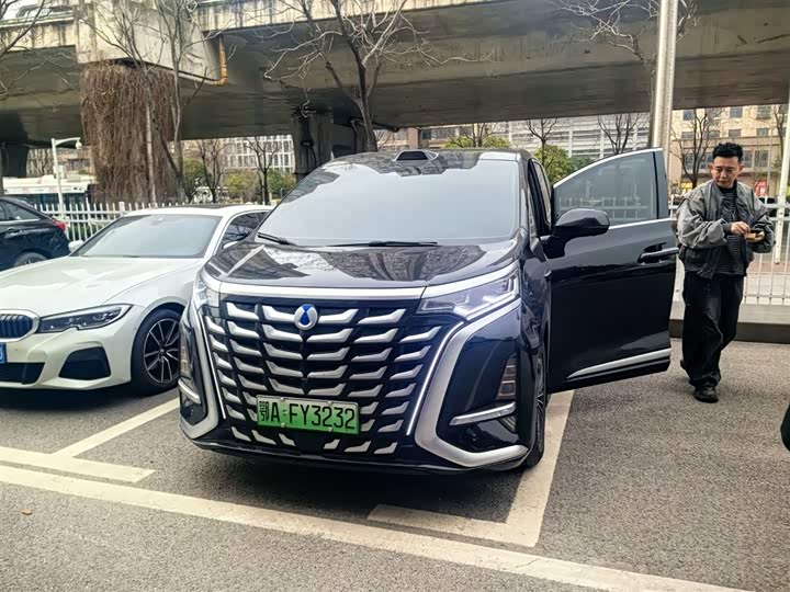 Фото 4 - Denza D9