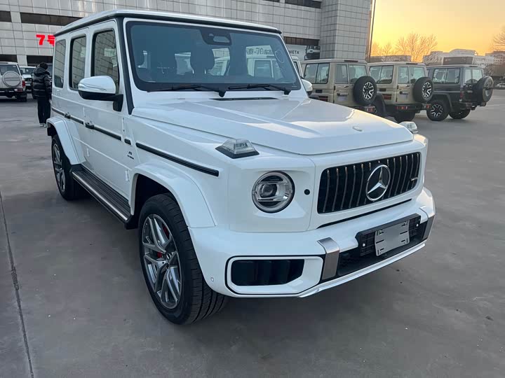 Фото 8 - Mercedes-Benz G-Class AMG