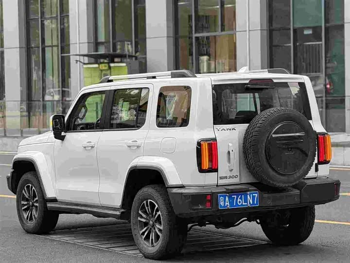 Фото 3 - Tank 300