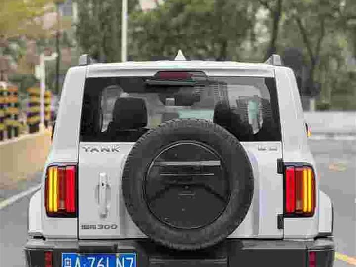 Фото 4 - Tank 300