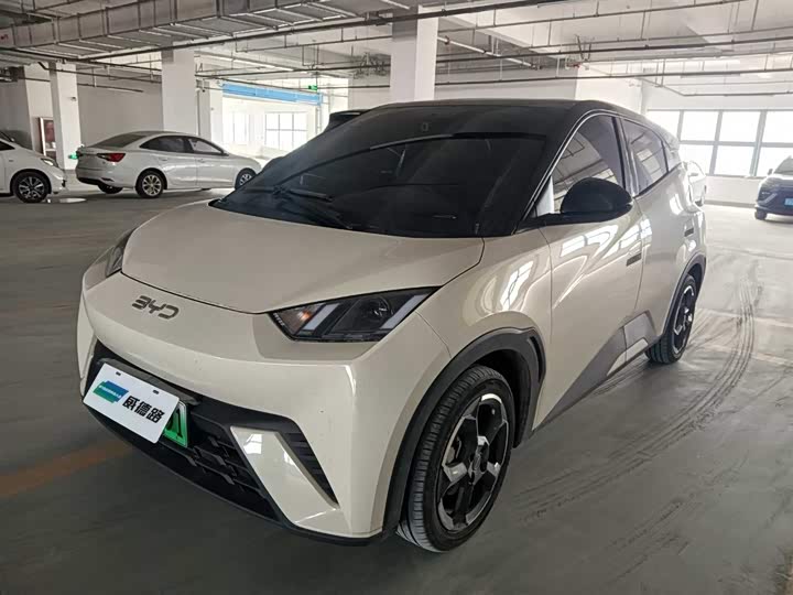 Photo 1 - BYD Seagull