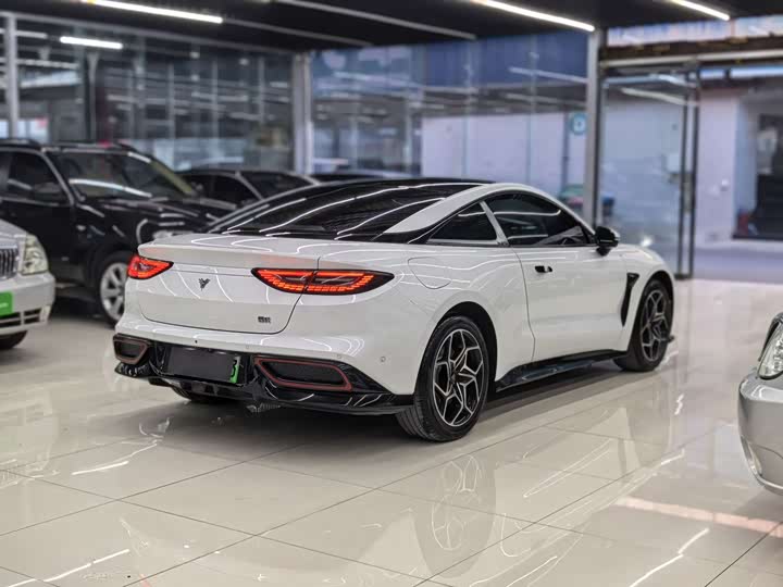 Фото 5 - Hozon GT