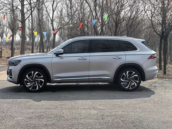 Фото 5 - Geely Monjaro