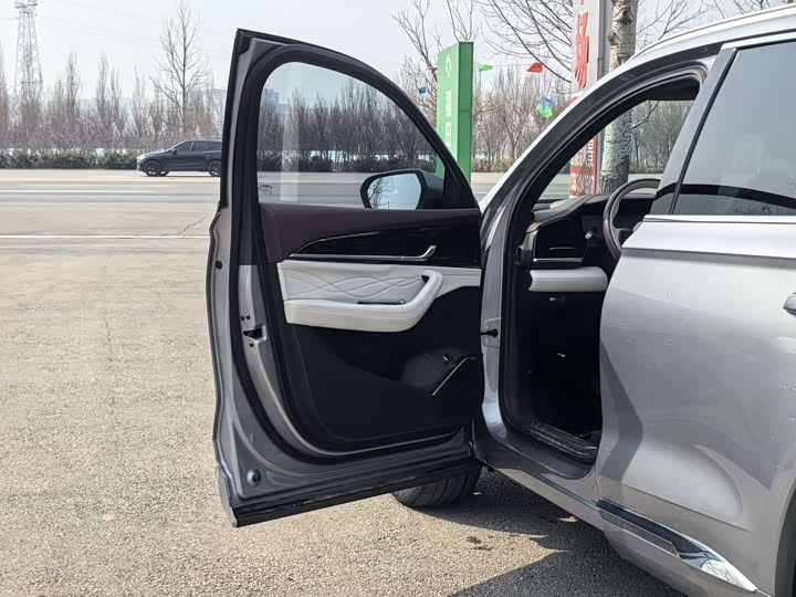 Фото 9 - Geely Monjaro