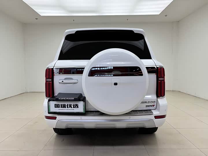 Фото 5 - Tank 500 Hybrid