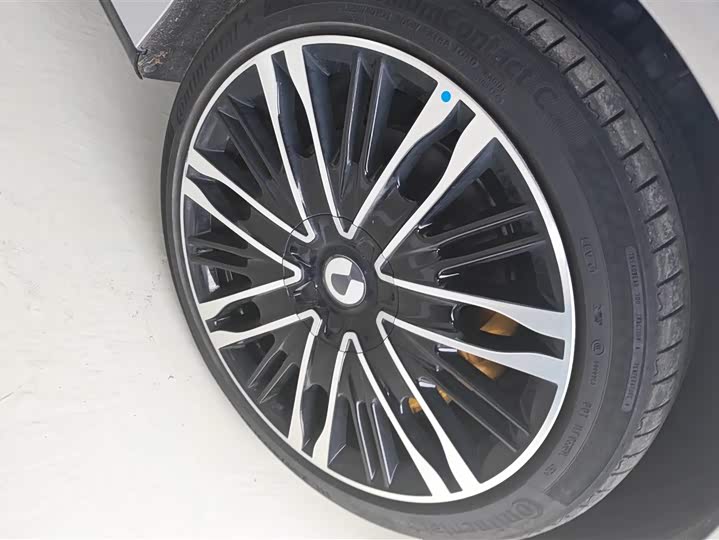 Фото 6 - Denza Z9GT