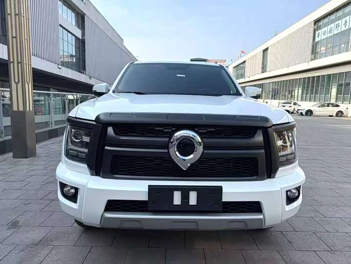 Фото 2 - Great Wall King Kong Poer