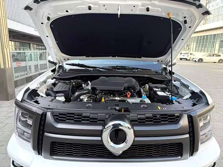 Фото 6 - Great Wall King Kong Poer