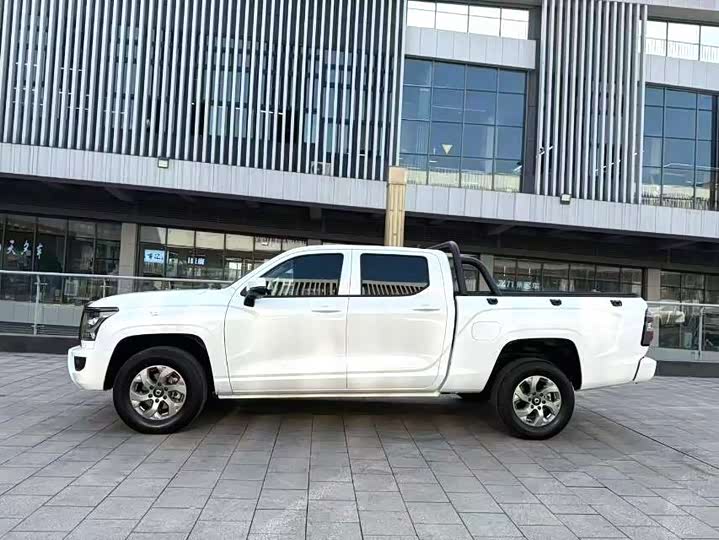 Фото 7 - Great Wall King Kong Poer