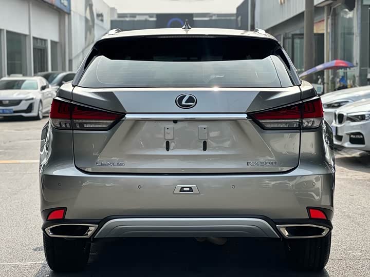 Фото 4 - Lexus RX