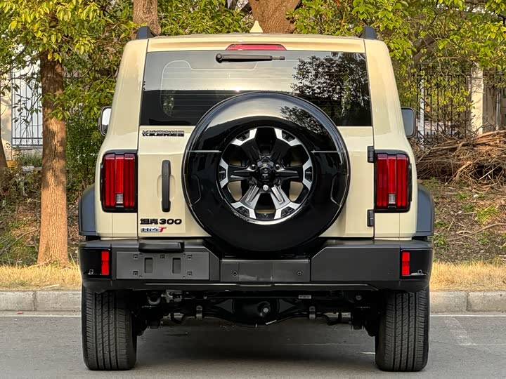 Фото 6 - Tank 300 Hybrid