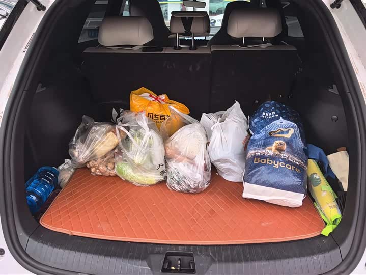 Photo 4 - BYD Song Pro Hybrid