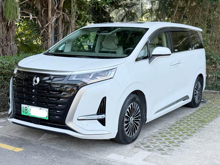 Фото 1 - Denza D9